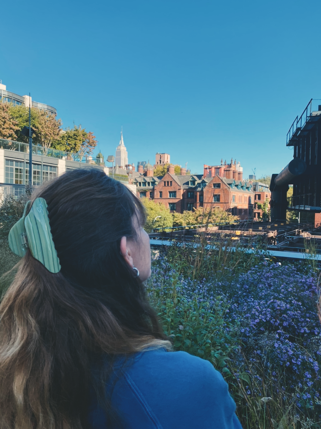 Cloud Hair Clip Lime | Sustainable Susi | eco-friendly plasticfree Claw Clip pastell grün gestreift y2k premium qualität bio haarspange haarklammer cellulose